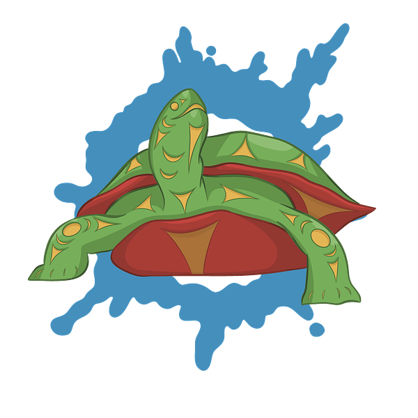 Tortoise